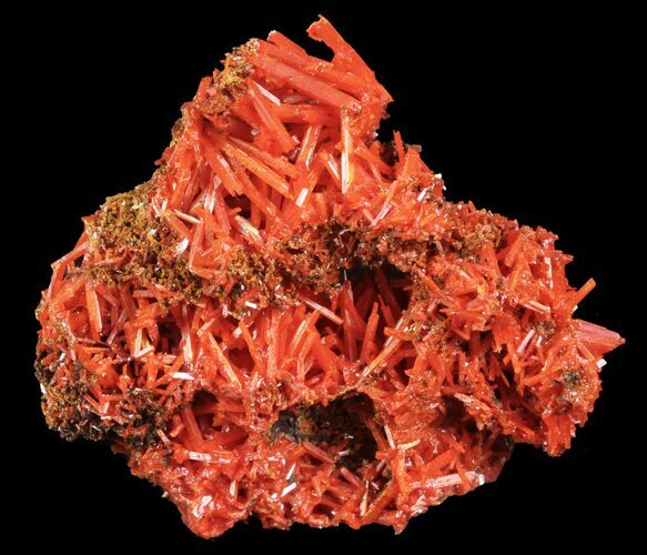 Bright Orange Crocoite Crystals - Tasmania #64360